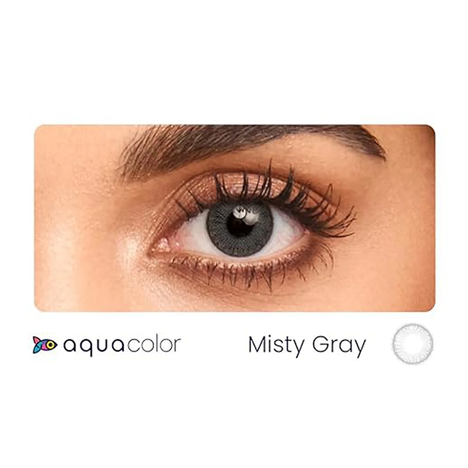 Aqua Color Contact Lenses Misty Gray - Dailies Zero Power - 10Lens/ Box | Single Use