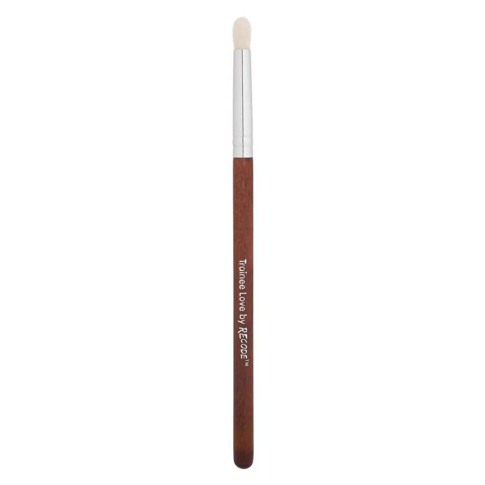 30 Makeup Brushes for Beginners - Recode Brush Set 30 Trainee Love - Image 14