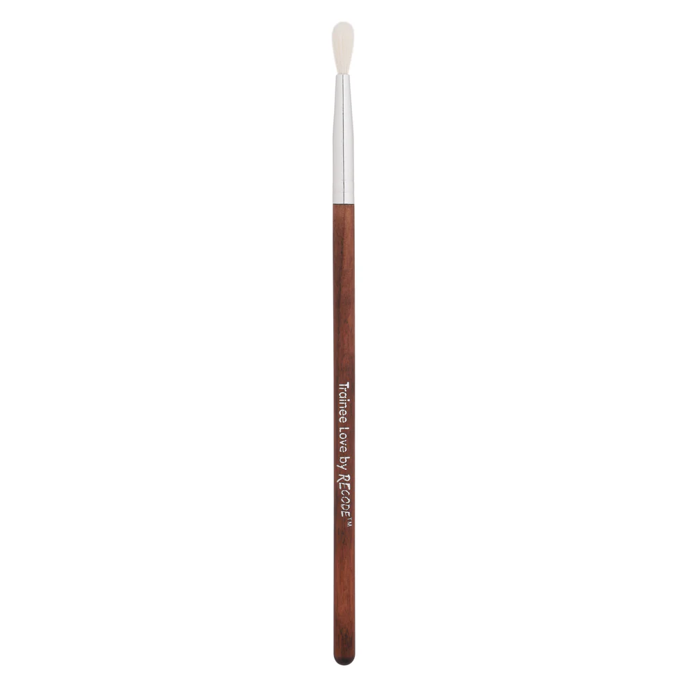 30 Makeup Brushes for Beginners - Recode Brush Set 30 Trainee Love - Image 15