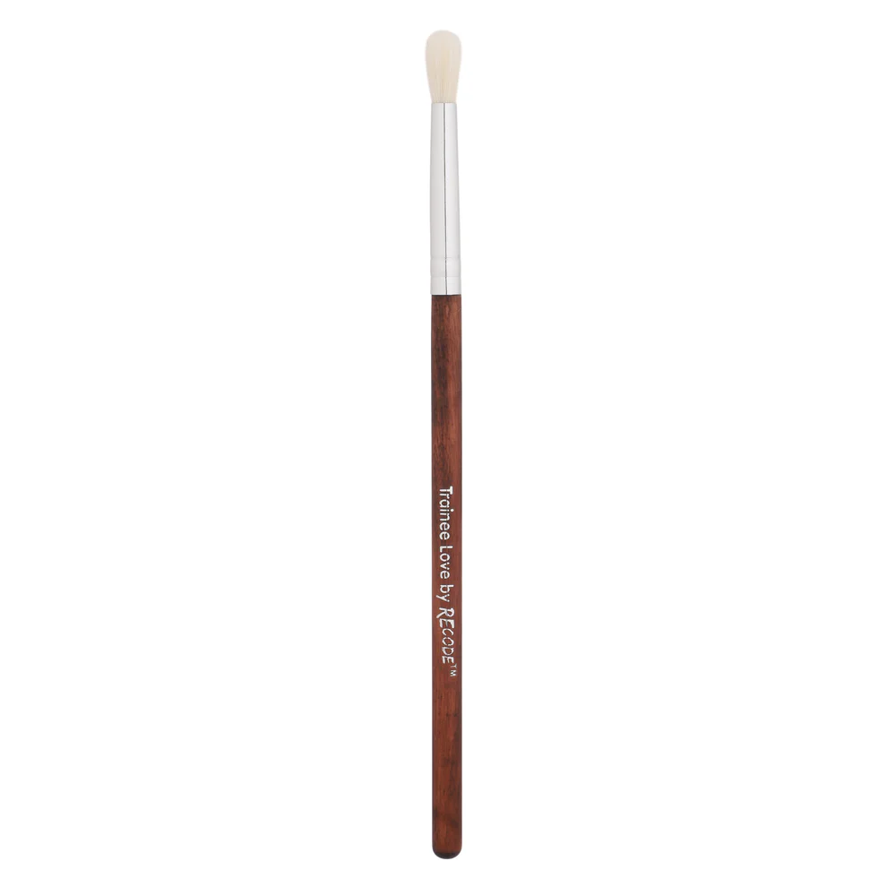 30 Makeup Brushes for Beginners - Recode Brush Set 30 Trainee Love - Image 27