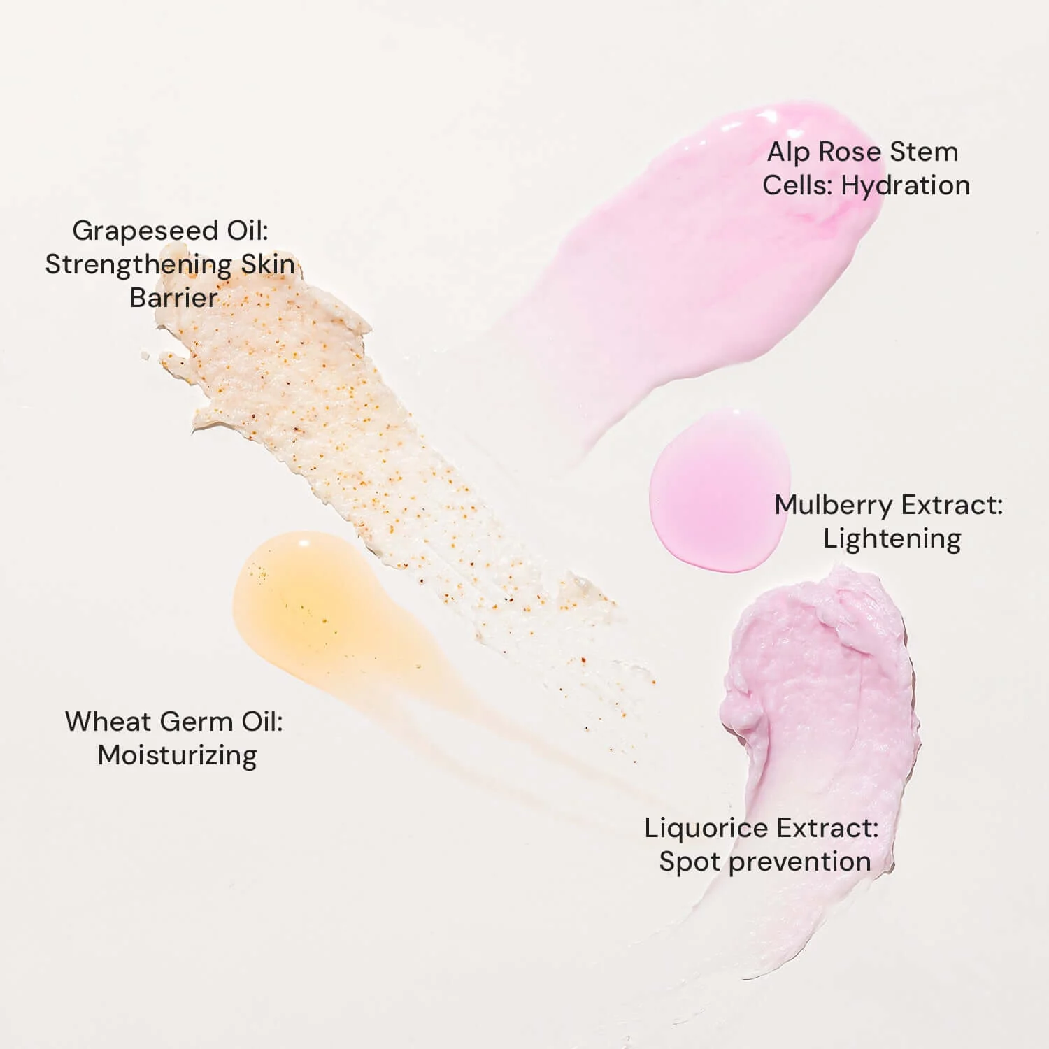 Stem Cells Infused Fairness 6 Step Facial Kit | Brightening Power of Mulberry and Alp Rose Stem Cells | Reduces Dark Spots | All Skin Types (61 gm) - Image 5