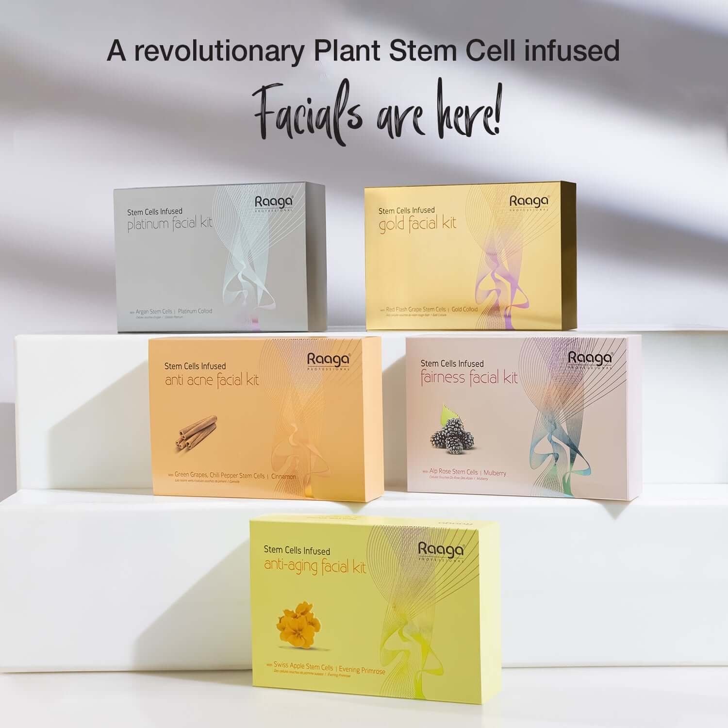 Stem Cells Infused Fairness 6 Step Facial Kit | Brightening Power of Mulberry and Alp Rose Stem Cells | Reduces Dark Spots | All Skin Types (61 gm) - Image 8