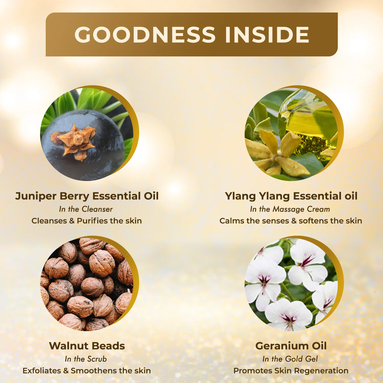 Nature's Essence Advanced Gold Facial Kit (250 gm) - Image 7